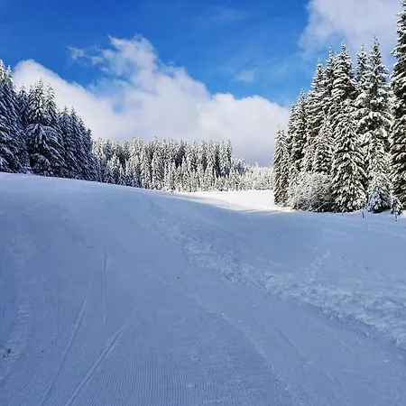 Schanzenblick 아파트 Schönwalde